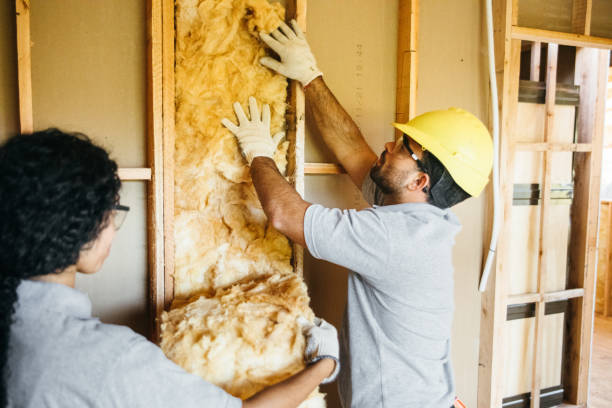 Best Insulation Inspection Services  in Fairfield University, CT